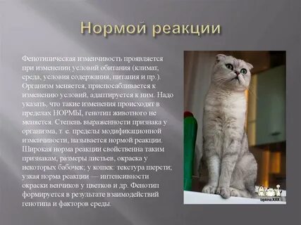 Нормы реакции животных