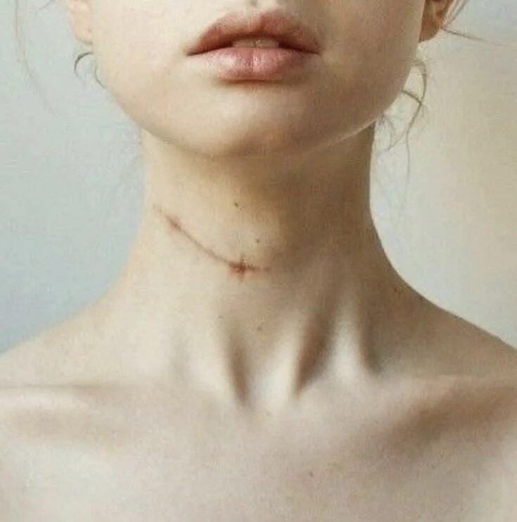 Ключицы. Красивая женская шея. Красивые ключицы. Шея и ключицы. Женские ключицы.