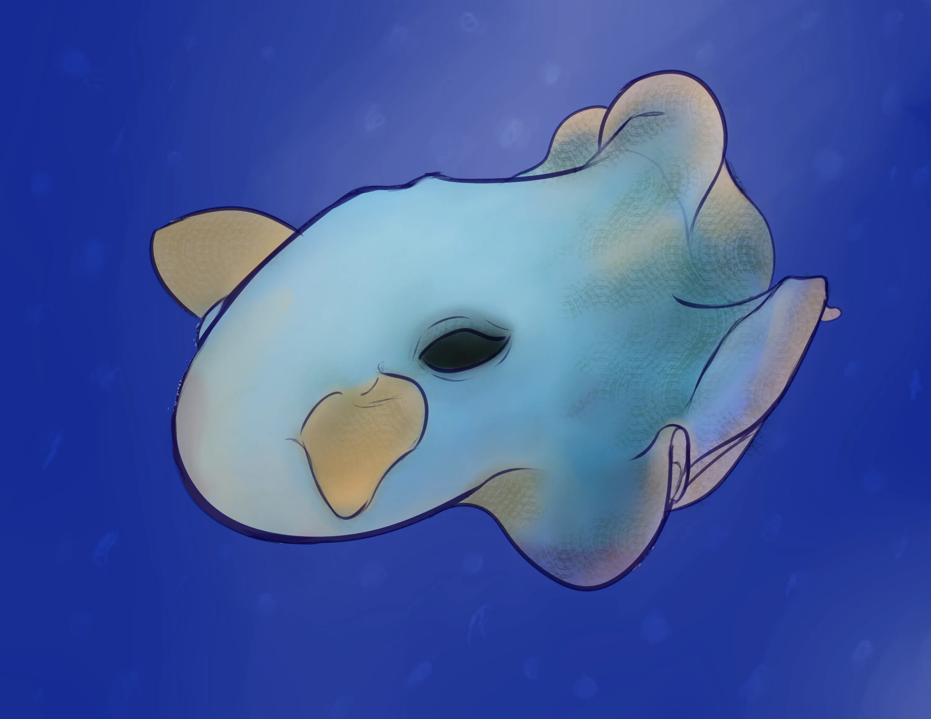 Осьминог дамбо grimpoteuthis. Дамбо октопус. Осьминог дамбо grimpoteuthis. Осьминог думбо. Осьминог дамбо.