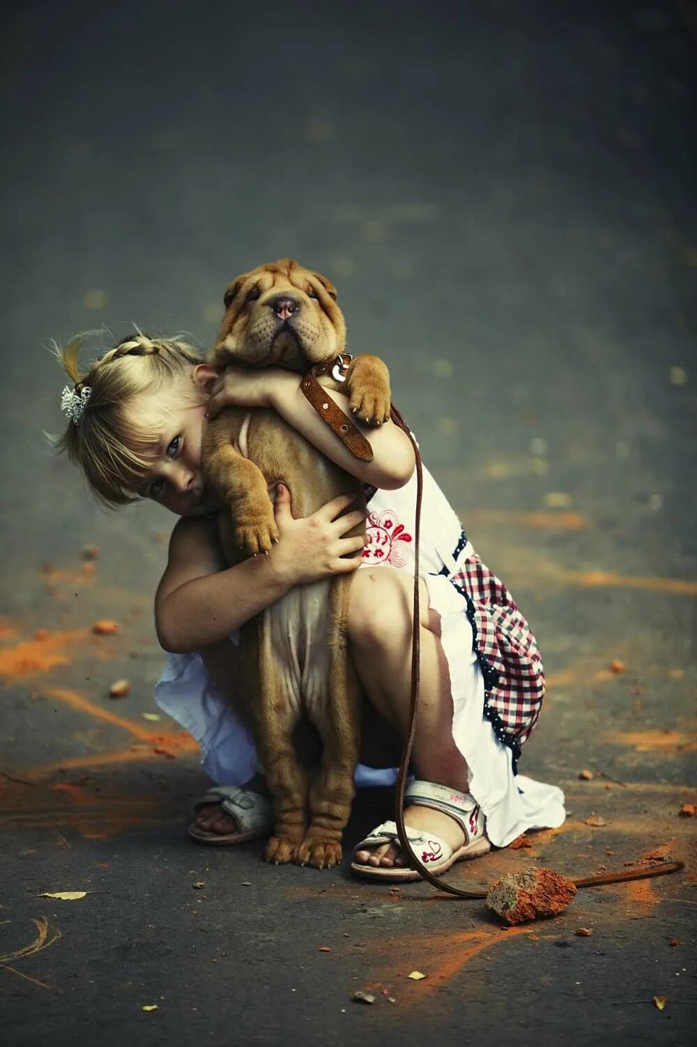Девочка обнимает собаку. Собака для детей. Девочка с собакой. Для детей. Животные.
