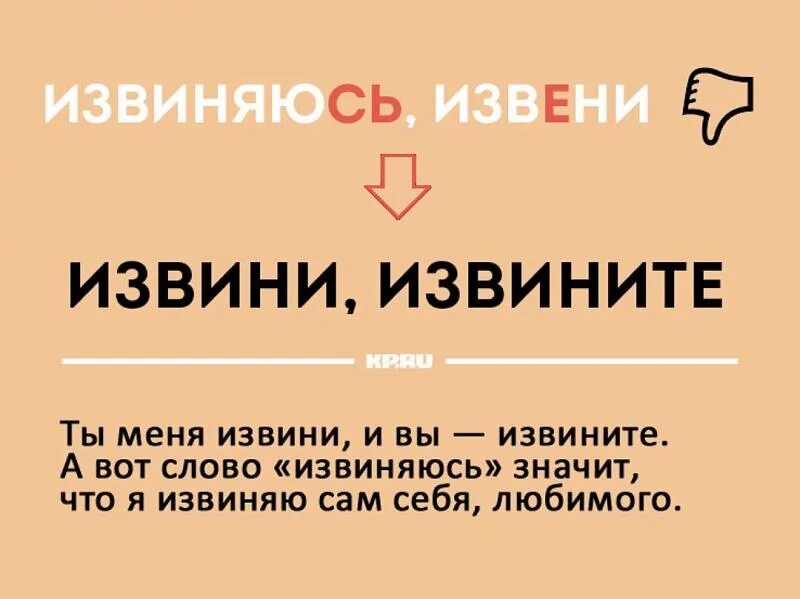 Извините проверочное слово. Извините проверочное слово к букве и. Извини проверочное слово. Извиниться проверочное слово. Как правильно пишется слово прощу