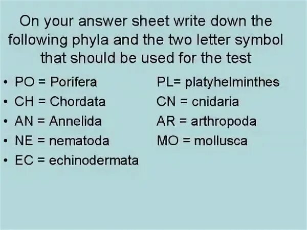 Another the following questions. Direct и indirect вопросы. Grammar for movers test. Another the following questions. Another the following questions.