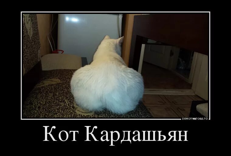 Чтоб поржать. Смешные демотиваторы до слез. приколы рисунки поржать. прикольные картинки поржать с надписями. приколы чтобы посмеяться до слез.