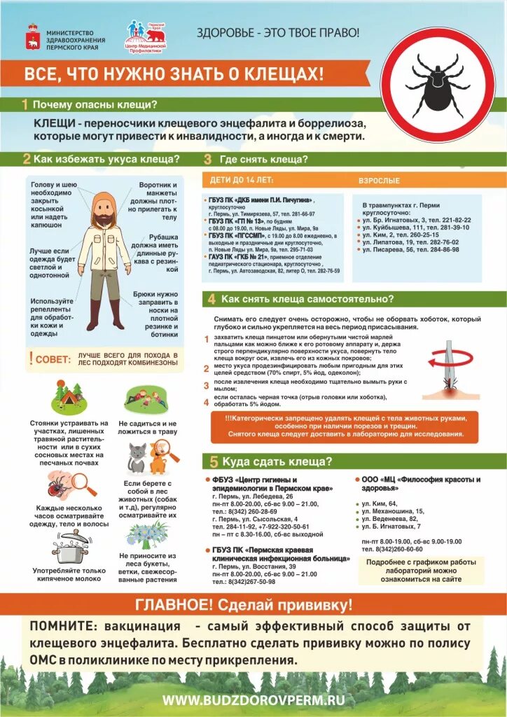 Энцефалита кемерово. Профилактика клещевого энцефалита памятка вакцинация. памятка о вакцинации против клещевого энцефалита. прививки клещевого энцефалита памятка. клещевой энцефалит памятки роспотребнадзор.