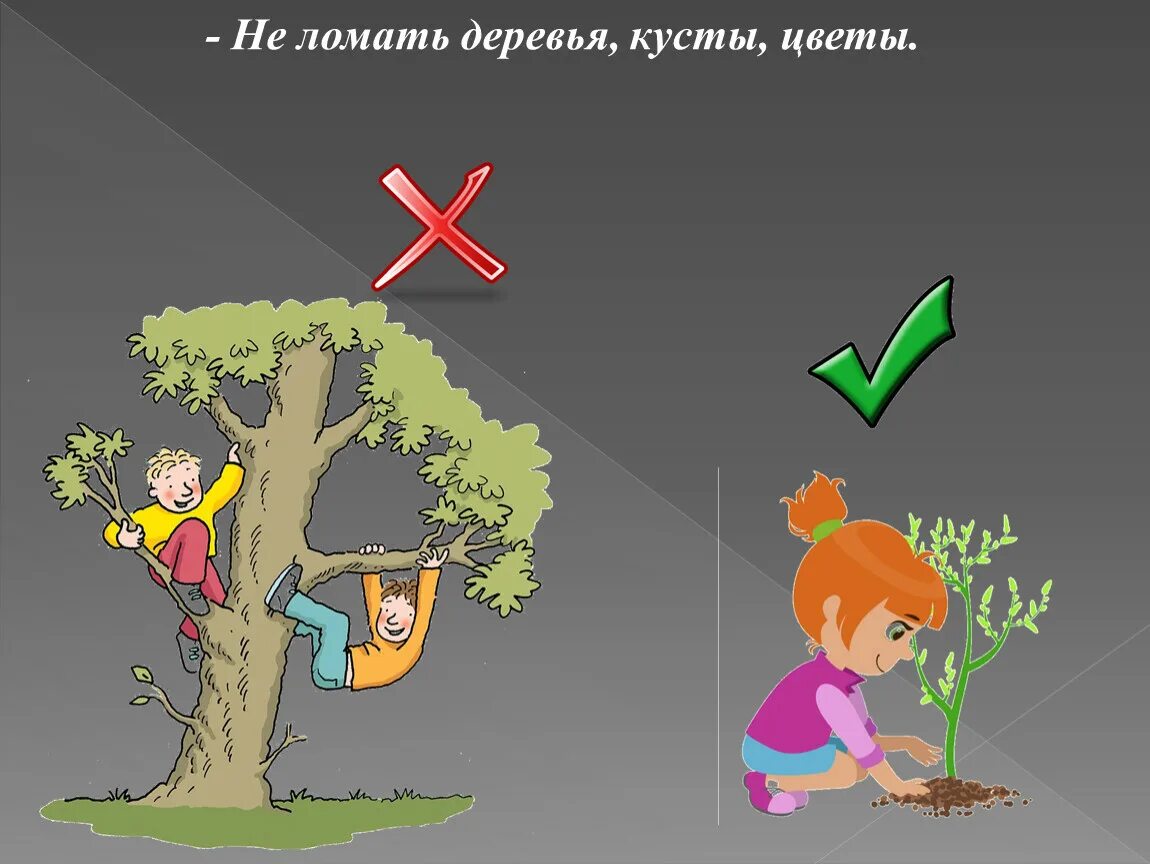 Не ломай ничего. Не ломай ничего