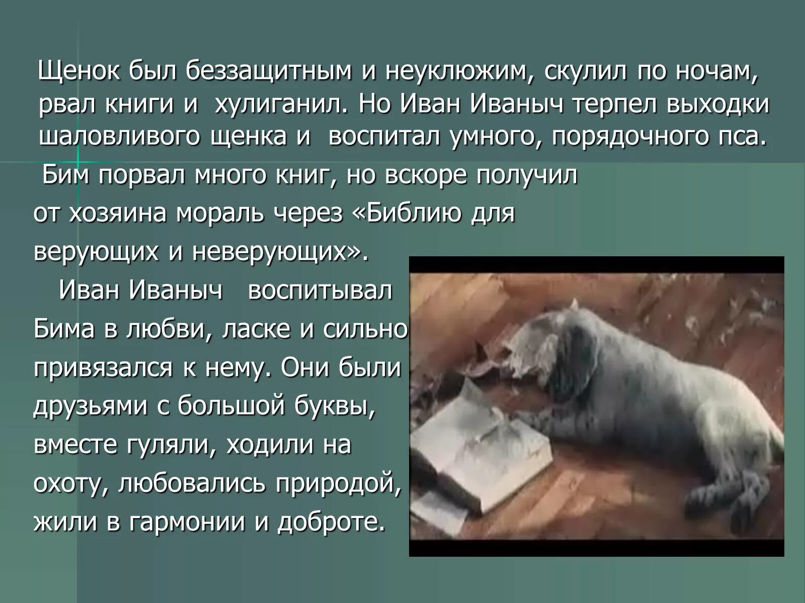 Рассказ белый бим краткое содержание. Белый бим черное ухо презентация. книга белый бим черное ухо презентация. белый бим черное ухо книга.