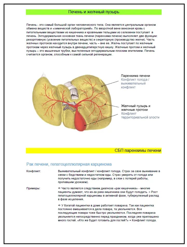 Гепатит желчный пузырь. Психосоматика заболеваний печени. Справочник болезней психосоматика. Воспаление печени психосоматика. Печень по психосоматике.