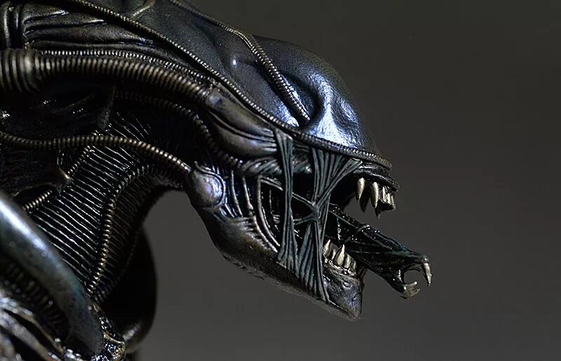 ксеноморфы из чужих. открой чужой. открой чужой. чужехищник. открой чужой.