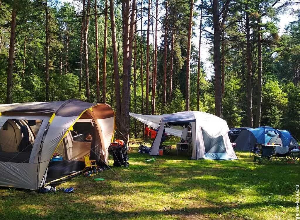 Поход с ночевкой. Селигер озеро кемпинг. Поход с палатками. Подмосковье с палаткой. Лес место для отдыха человека.