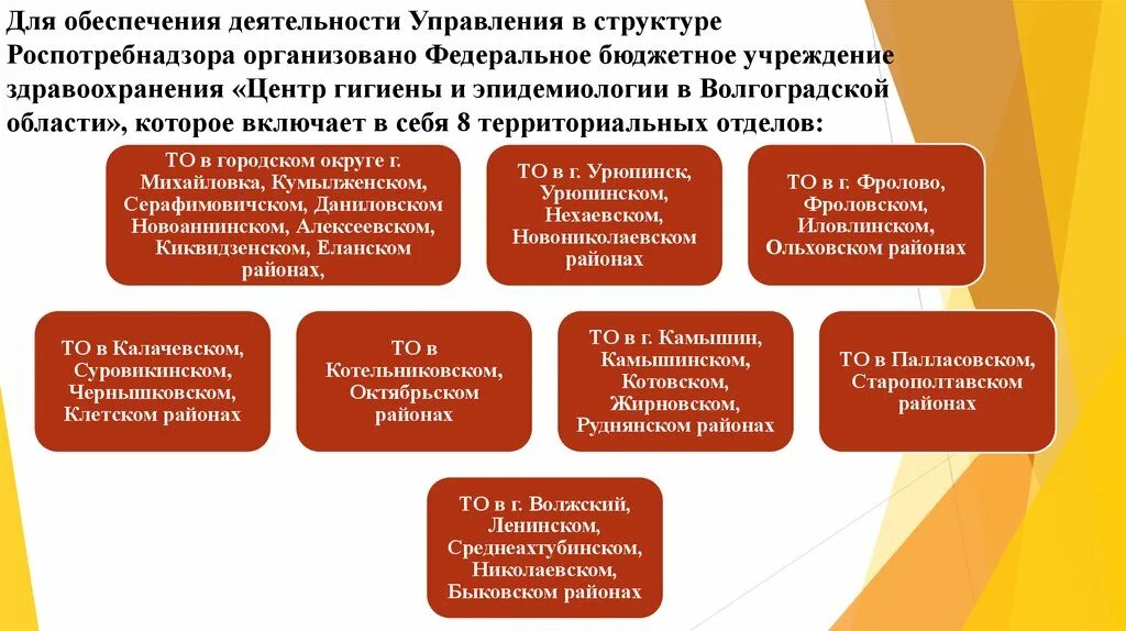 Роспотребнадзор структура. Органы управления Роспотребнадзора. Структура управления Роспотребнадзора. Центр гигиены и эпидемиологии Роспотребнадзора. Организация по надзору здравоохранения