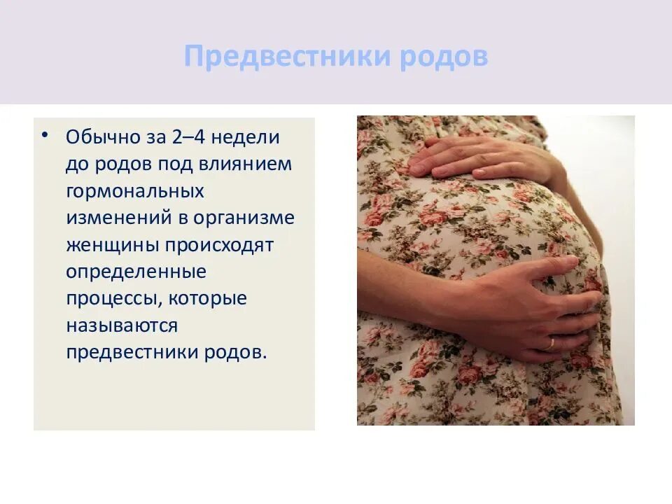 Предвестники родов. Период предвестников родов. Предвестники родов презентация. Течение 3 беременности