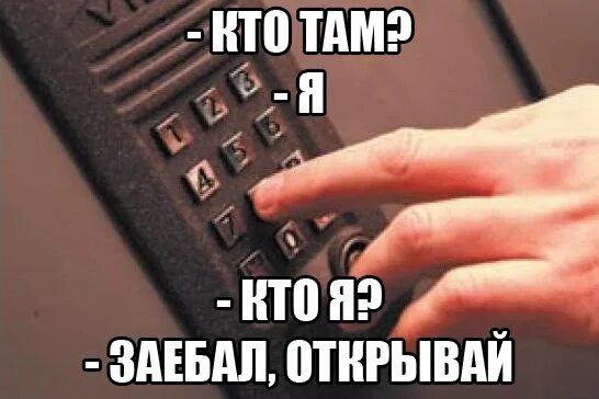 Алиса продолжает троллить - смотреть видео онлайн от "ЗАРЯДИСЬ ОПТИМИЗМОМ" в хор