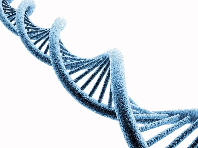 ДНК на белом фоне. Молекула ДНК спираль. ДНК на прозрачном фоне. ДНК синяя.