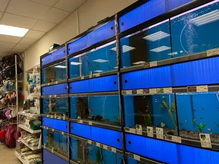 Рыболовные магазин золотая рыбка
