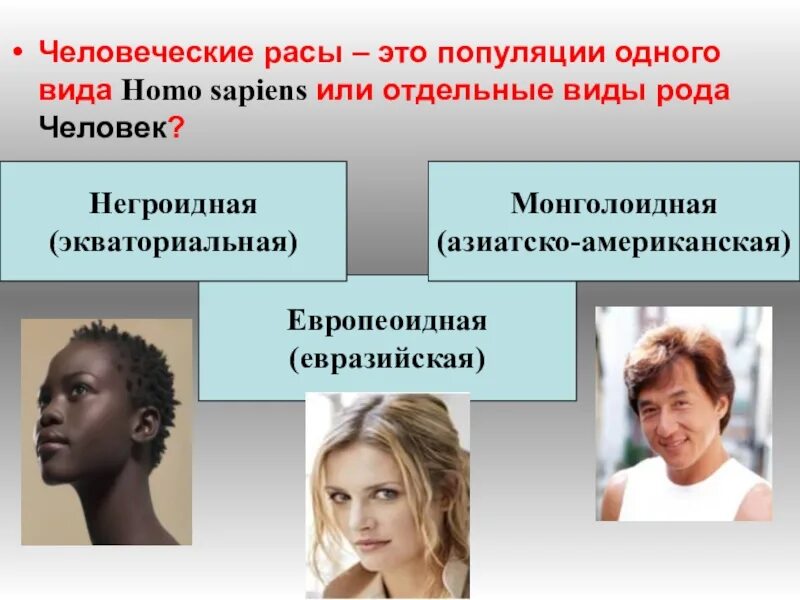 Выступающий нос характерны для какой расы. Расы людей. Человеческие расы. Современные расы человека. Виды рас человека.