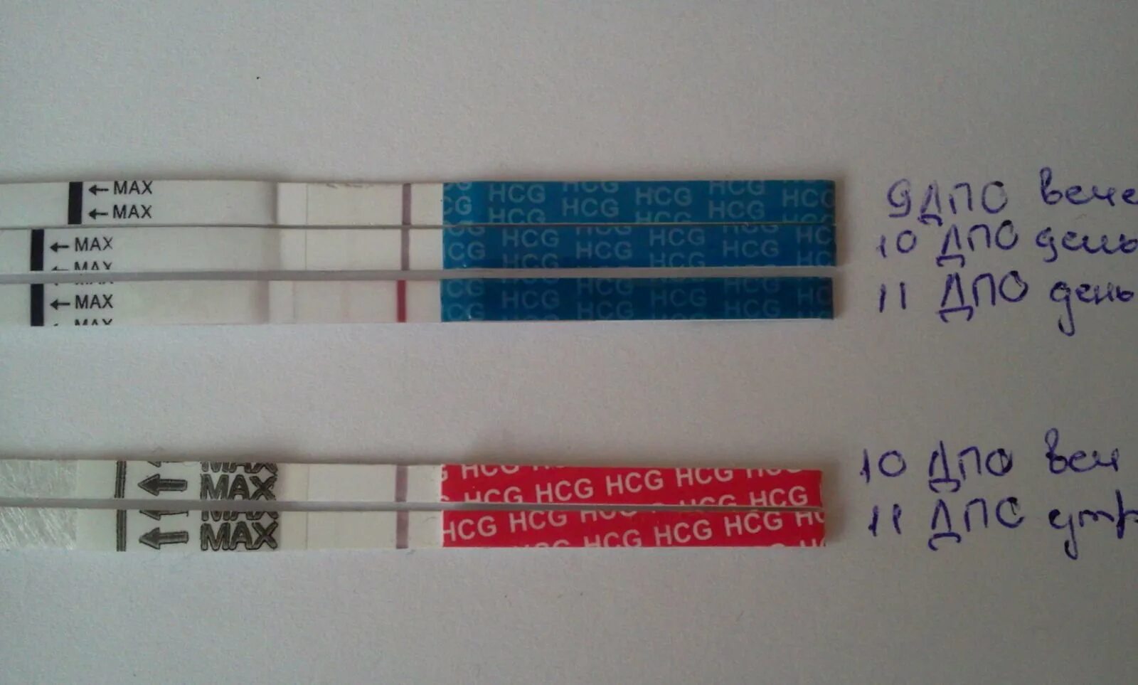 Тест би Шур 12 ДПО. Тест на беременность до задержки. Тест на беременность аттест. Тесты до задержки месячных. Тест на беременность до задержки месячных отзывы