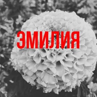 Емилия имя