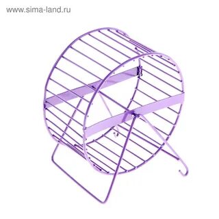 Какое колесо нужно для хомяка