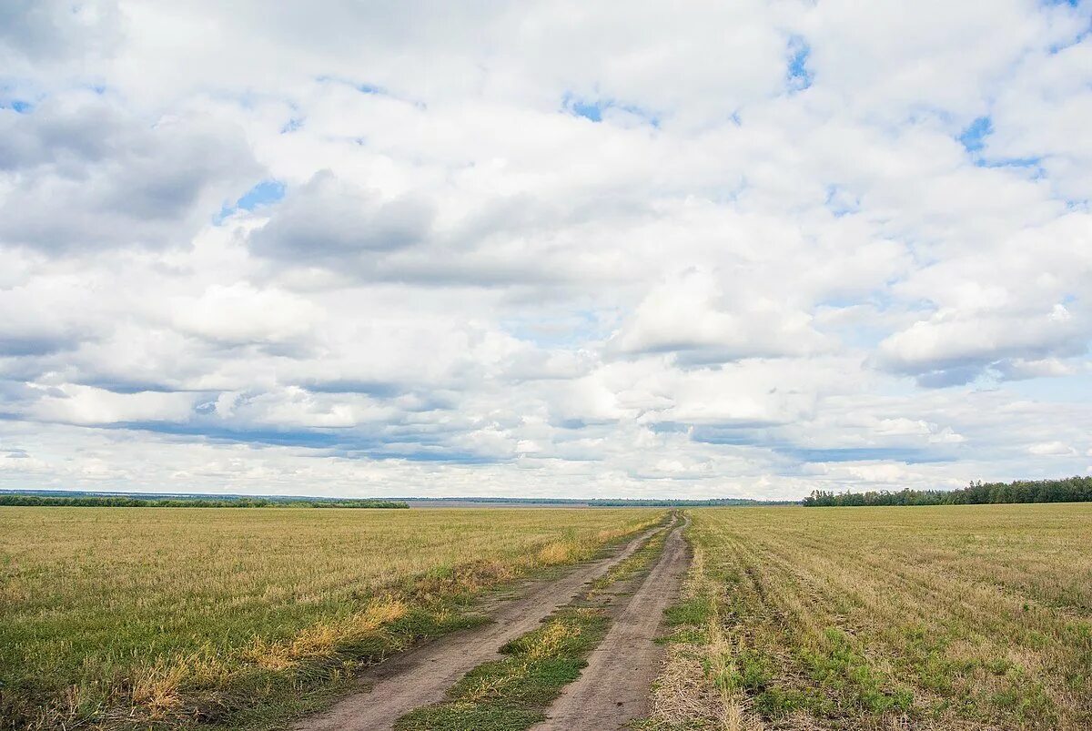 Светлое самарская область. Село Шламка Самарской области. Светлое поле Самарская область. Самара поля.