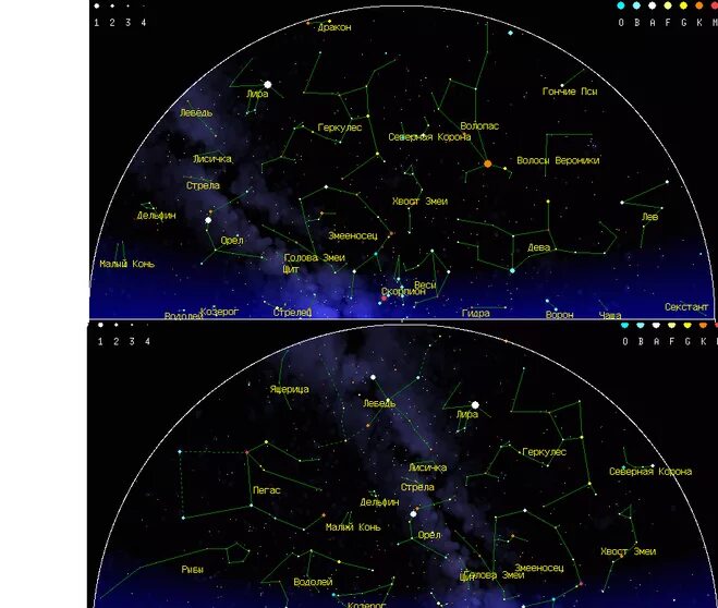 Какие созвездия на северном полушарии