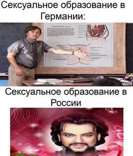 Половое образование