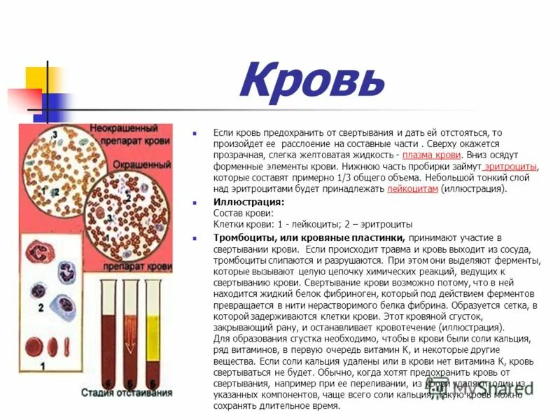 Почему при сдаче крови кровь свернулась. Элементы крови участвуют в свертывании крови. Почему кровь сворачивается.