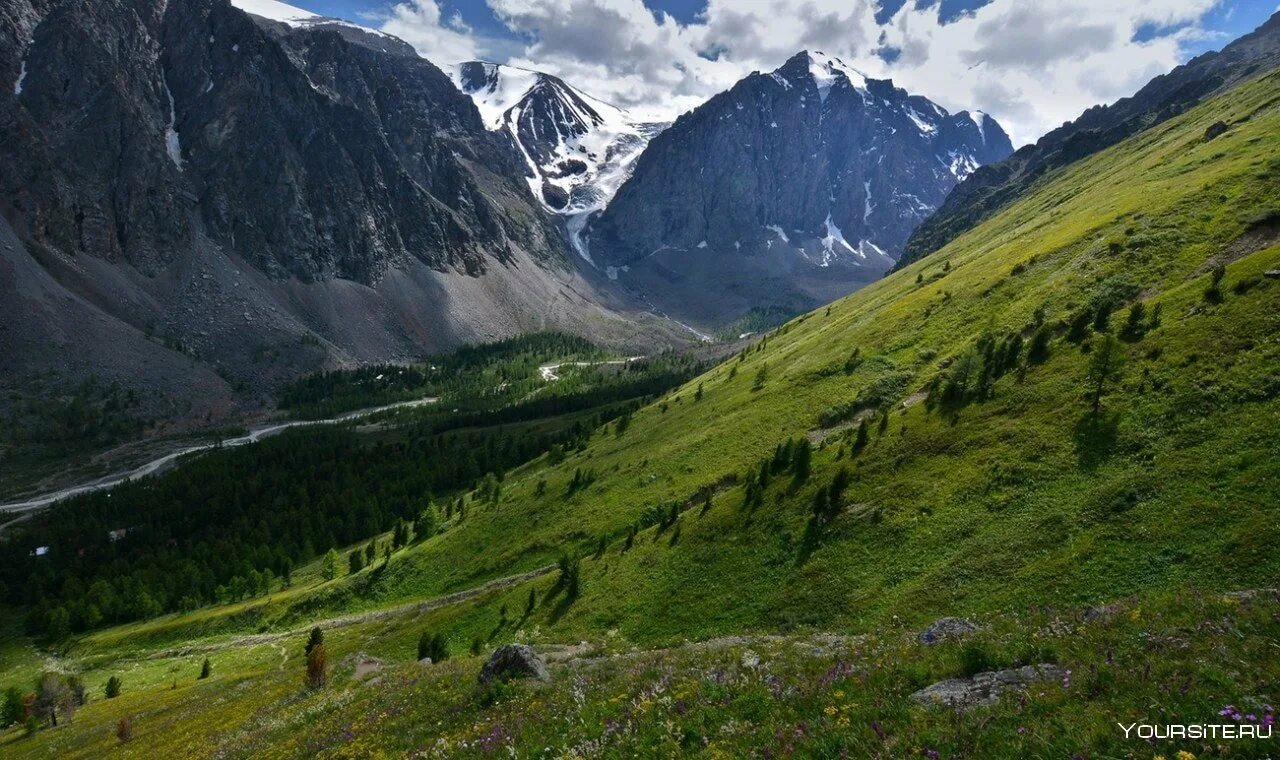 Природный пояс у подножия гор алтай. Актру горный Алтай. Актра гора Алтай. Ледники Актру горный Алтай гора Белуха. Долина Актру Алтай.