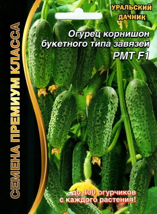 1 шт огурец 1 шт. Огурец корнишон f1 семена. огурец рмт f1 уд 5шт. огурец уральский корнишон f1. огурец уральский пикуль уральский дачник.