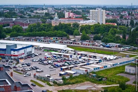 Сельма калининград
