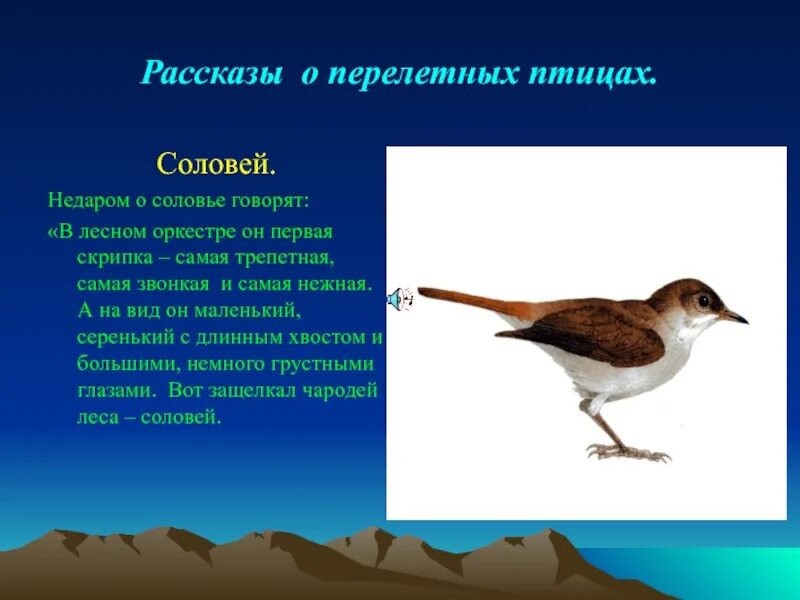 Краткий рассказ о птице. Маленький рассказ про птицу. Рассказ о перелетных птицах. Роскар о перелетных птицах. Небольшой рассказ о птице.