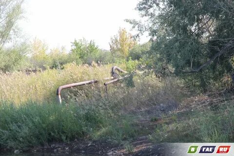Коммунальник ясногорск забайкальского края