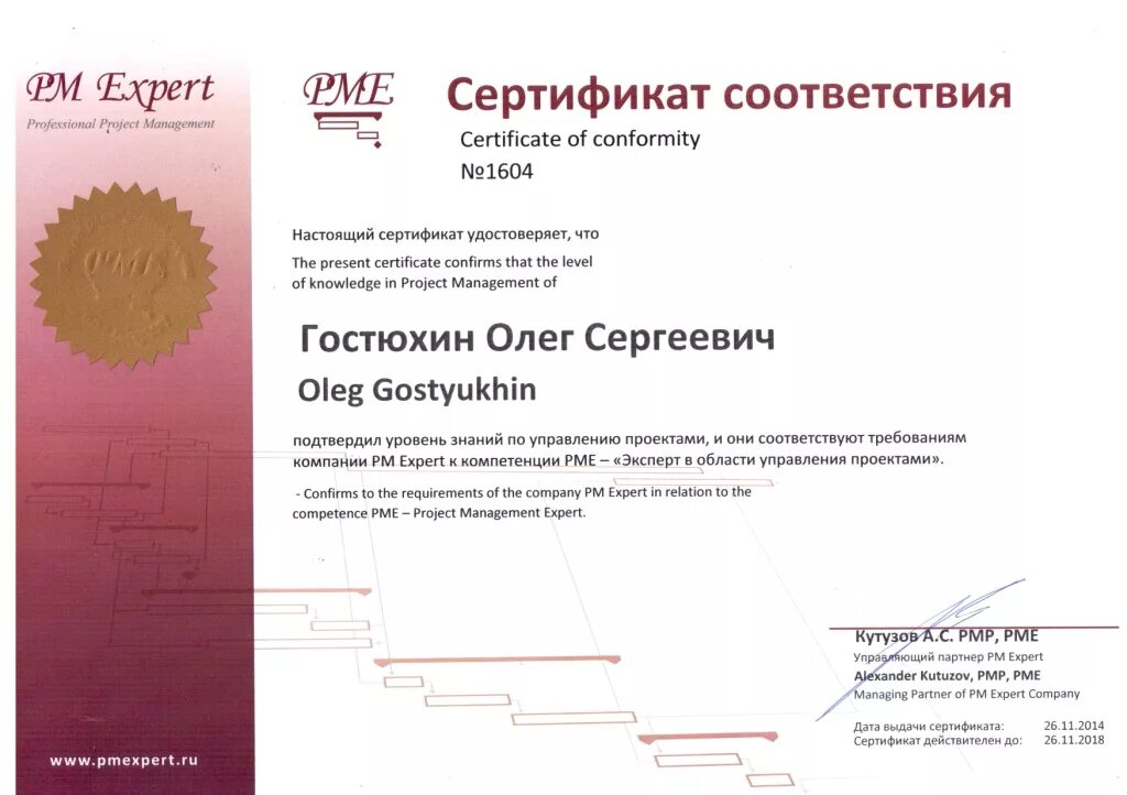 Сертификат PMI. Project Manager сертификат. Сертификат PMP PMI. Диск для диплома.