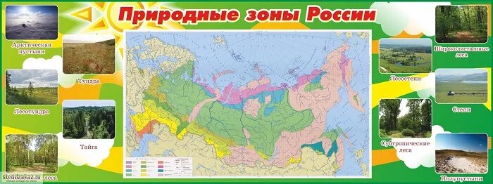 Природные зоны россии окружающий мир учебник. Карта природных зон России. Природные зоны России стенд. Карта природных зон 4 класс. Зона природных зон России.