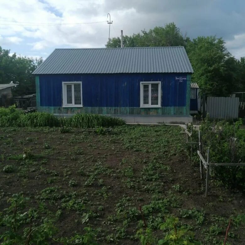 Поселок Масальский. Гилево Локтевский район. Пос Масальский Локтевский район. Локтевский район дома. Погода п масальский локтевский район