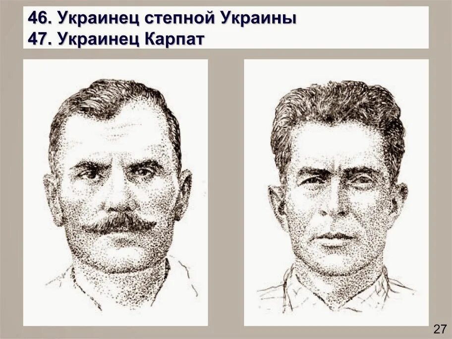 Антропология ответ 3. Антропологический тип. антропологические типы славян. литовцы антропологический тип. антропология украинцев.