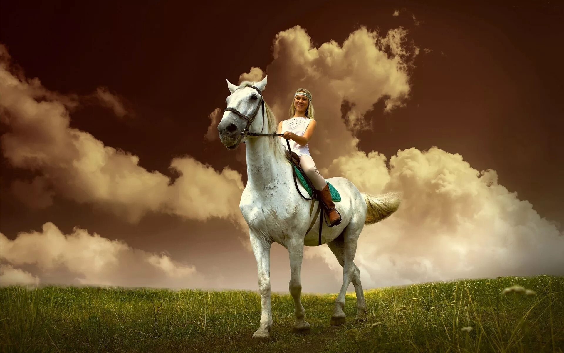 Черный на белом коне. Всадник на коне. Всадник на белом коне. Всадник на белой лошади. Белый конь и всадник.