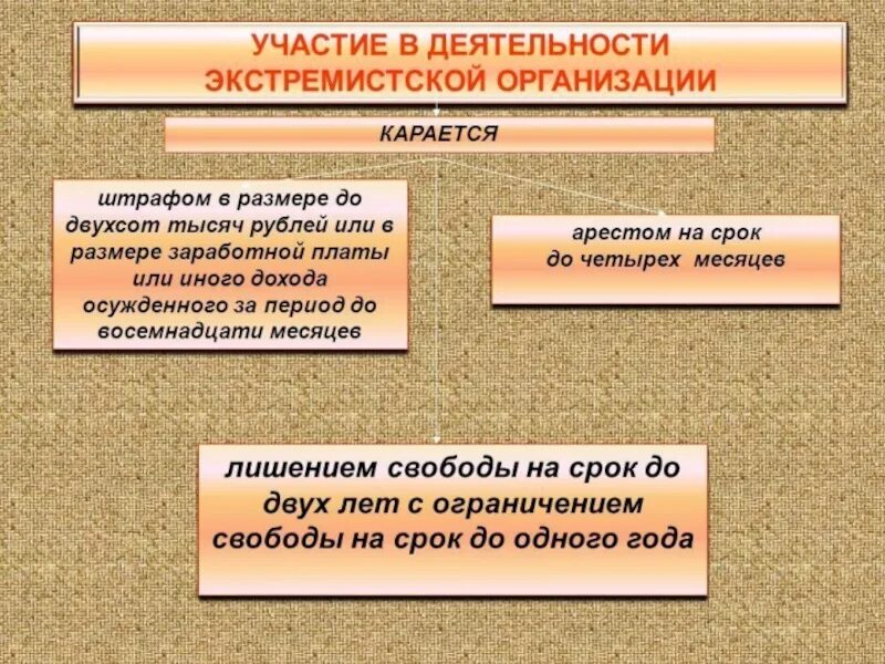 Экстремизм и терроризм ук. Экстремизм презентация 10 класс. Участие в экстремистской деятельности. Методика расследования преступлений экстремистской направленности. Экстремистская направленность это.