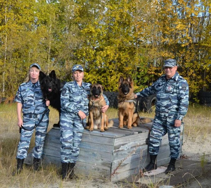 Сколько лет кинологической службе в 2025