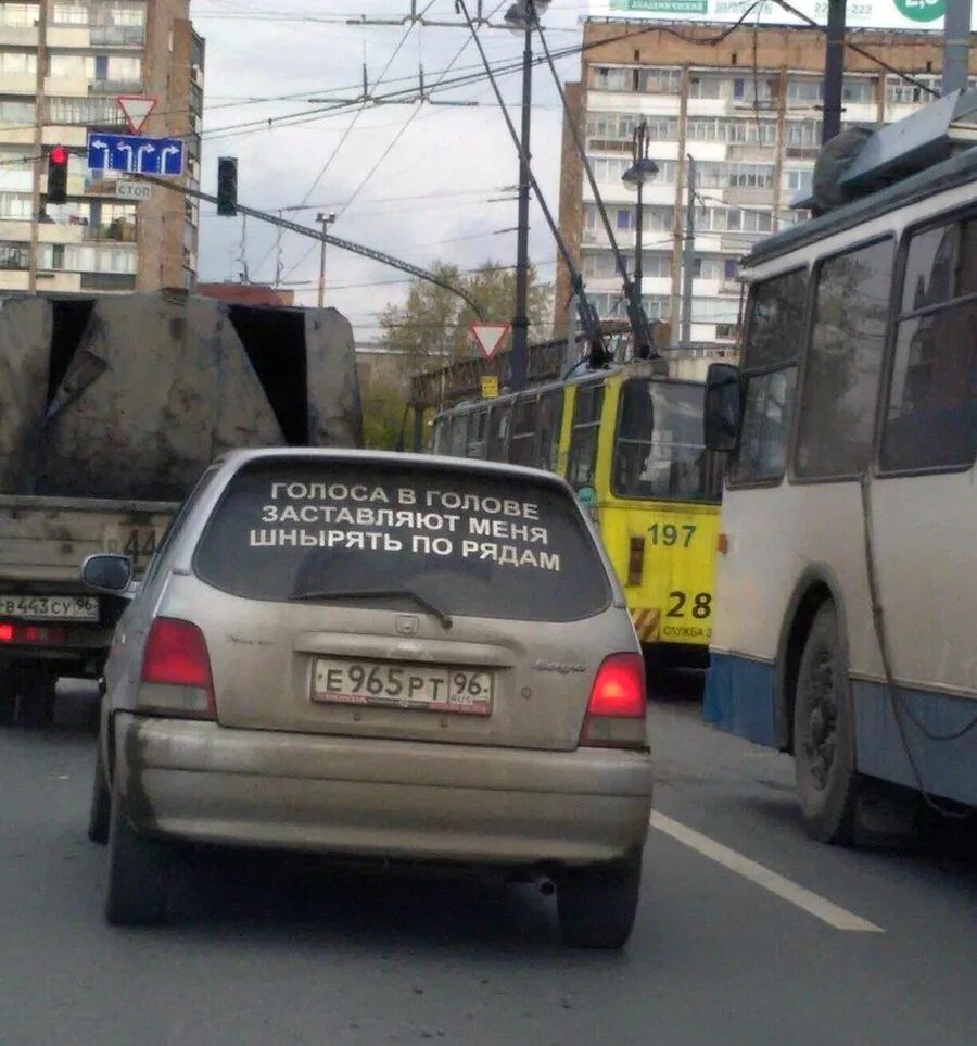 Голоса в голове помогите. Голоса в голове заставляют. Голоса в голове заставляют шнырять по рядам. Голоса в моей голове заставляют меня. Наклейка голоса в голове заставляют меня шнырять.