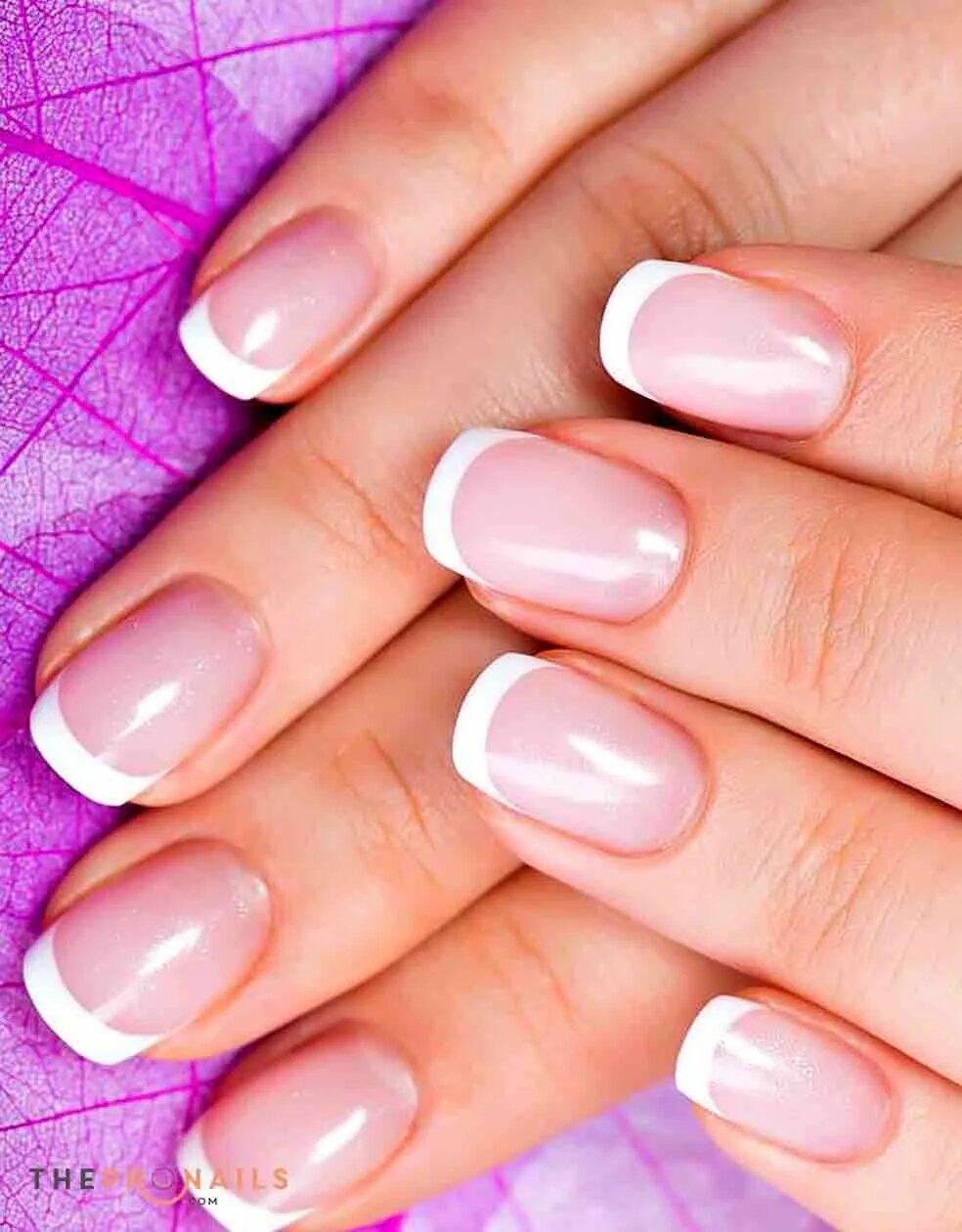 ногти шеллак френч. шеллак французский маникюр. маникюр 2022 омбре френч. маникюр шеллак французский маникюр. маникюр шеллак френч.