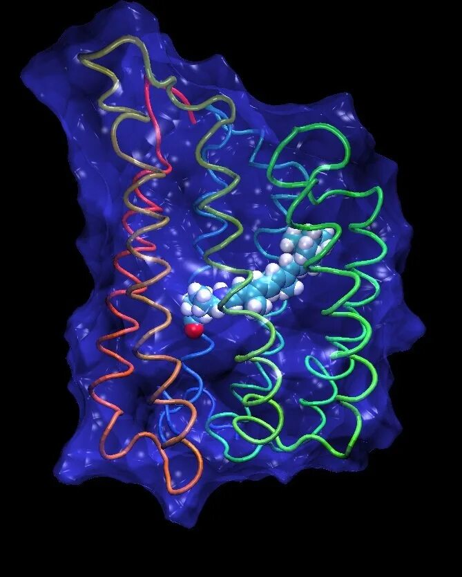 ДНК биокомпьютер. Структура белка бактериородопсина. Молекула это в биологии. Генетические клетки.
