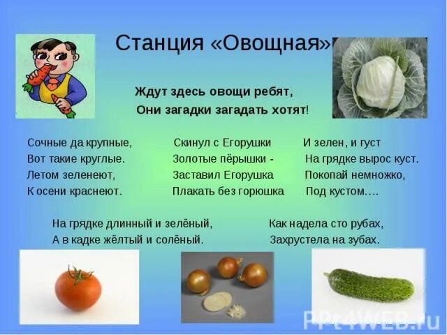 Загадки про овощи 6 лет. Загадки про овощи. Загадки про овощи для дошкольников. Загадки про овощи и фрукты. Загадки пот овощи и фрукты.