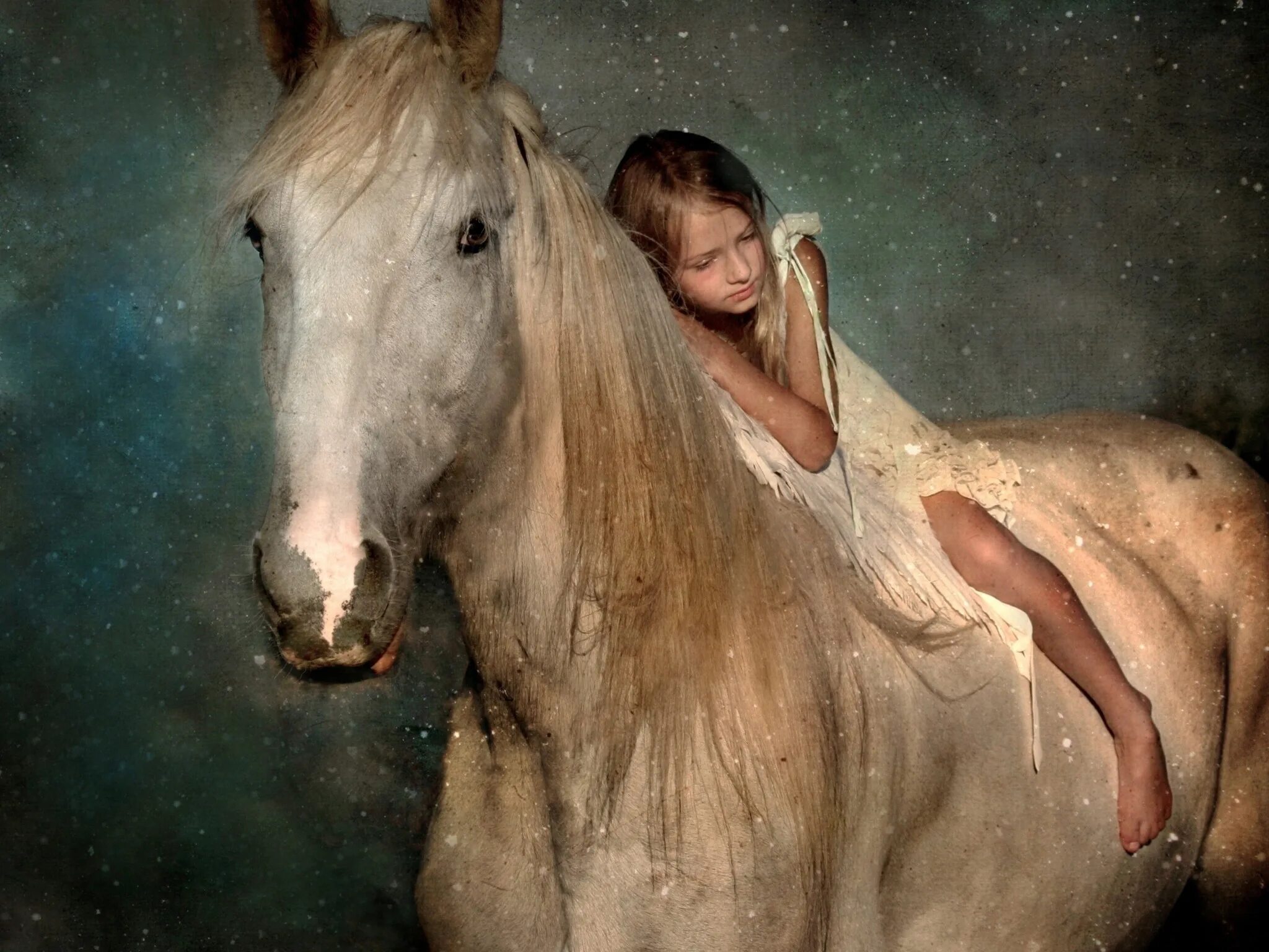 Порода лошадей ахал-теке. Horses dreaming. Лошадь мечты. Horses dreaming. Horses dreaming.