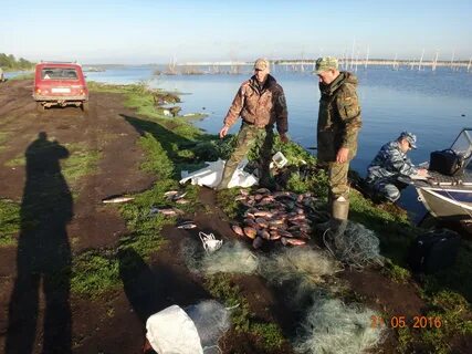 Надзор и охрана водных биологических ресурсов