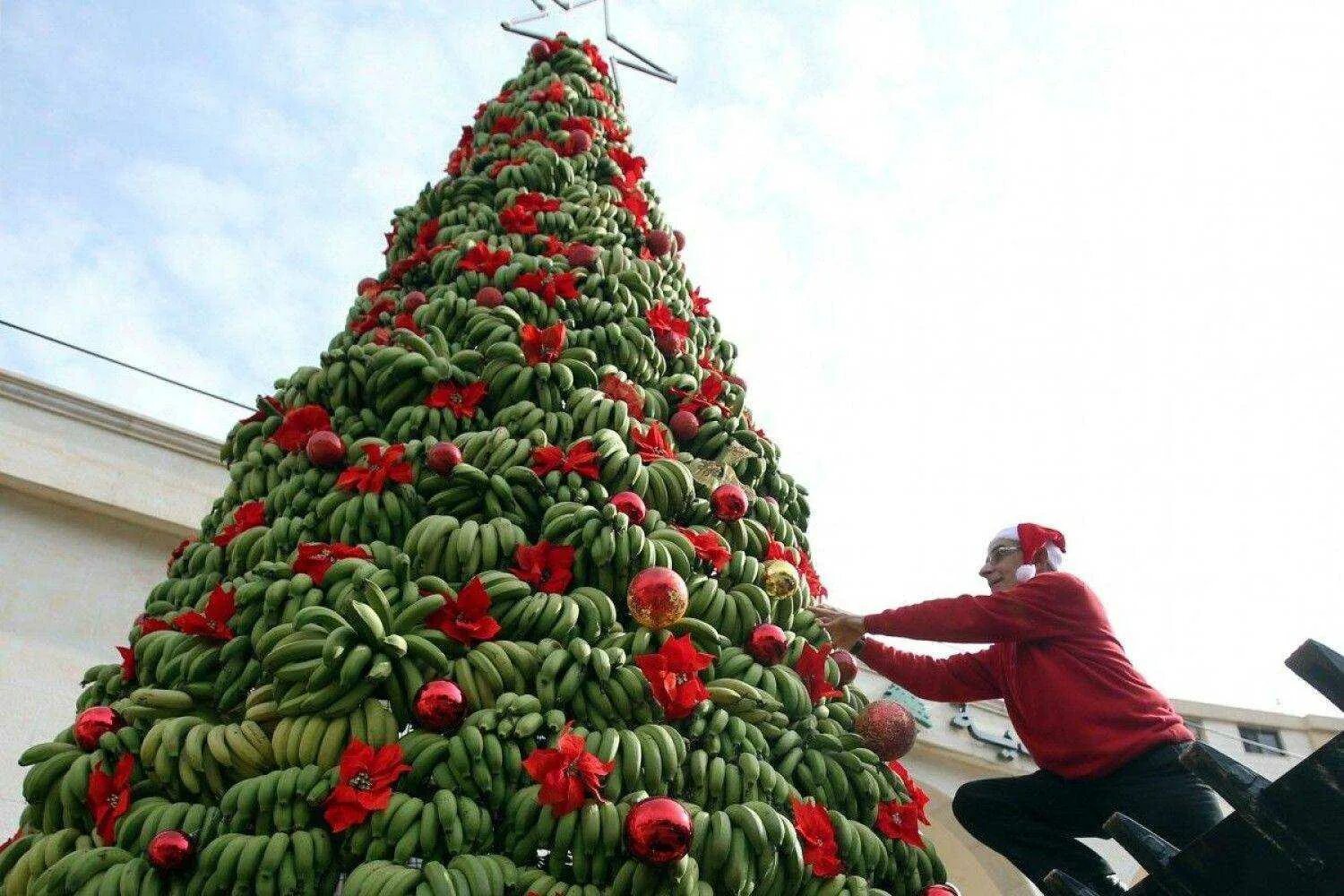 Как нарядить елку в 2024 году дома. Как нарядить елку в 2024 году дома. Наряжаем елку. Стильно украшенная елка. Как нарядить елку в 2024 году дома.