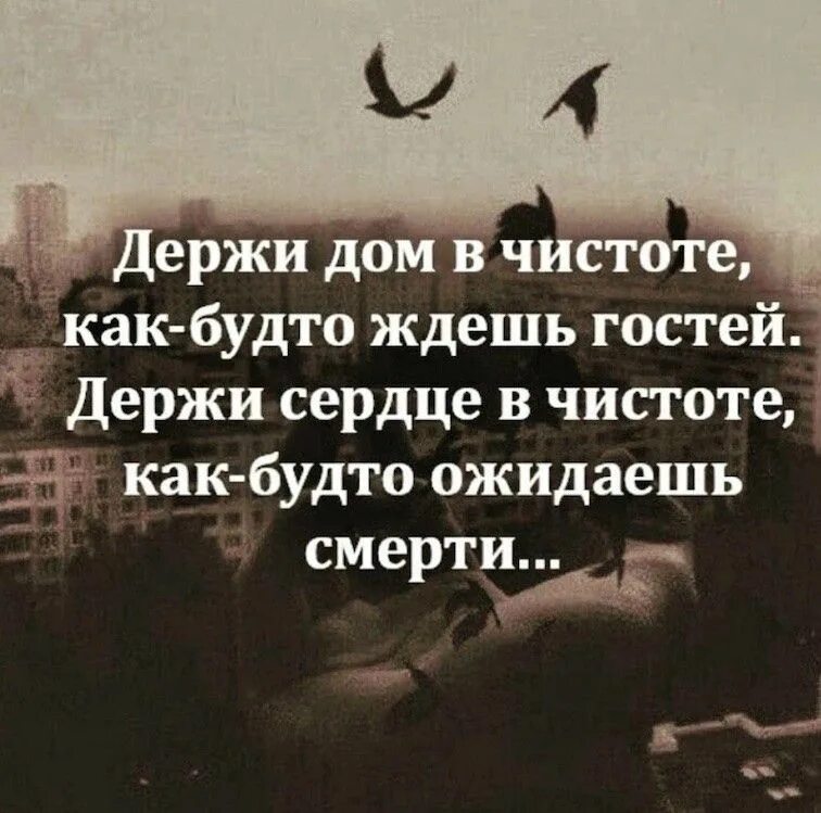 Держите дом в чистоте как будто ждешь гостей. Ждал будто. Чистота в исламе. Фразы про драгдилера. Чистота в исламе хадисы.