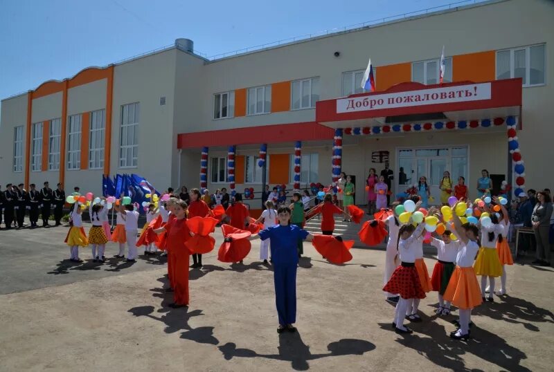 Сош п степной. Сош п степной