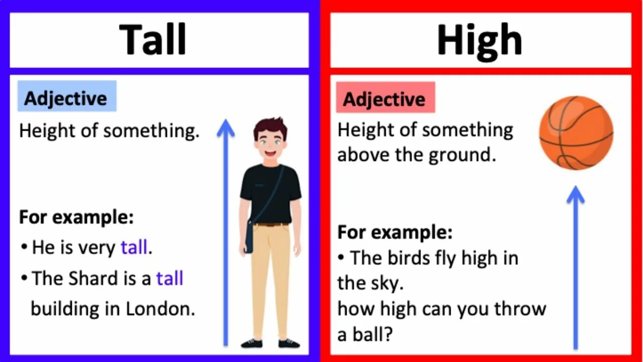 Tall на русском языке. Tall High разница. High Tall примеры. High and Tall difference. High vs Tall разница.