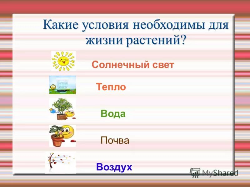 Какие условия необходимы для развития растений. Условия необходимые для жизни растения свет тепло воздух вода 2 класс. Условия необходимые для жизни растений (свет, тепло, воздух, вода). Условия необходимые для роста растений 2 класс. Условия необходимые для жизни растений.