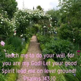 The garden path